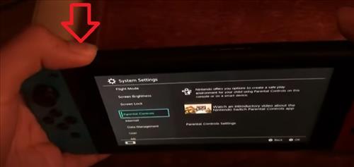 ニンテンドースイッチでオンライン上の友達フレンドがオフライン表示されるバグ 不具合の修正直し方 Nintendoswitch Pcゲーマーのレビューとエミュレーター